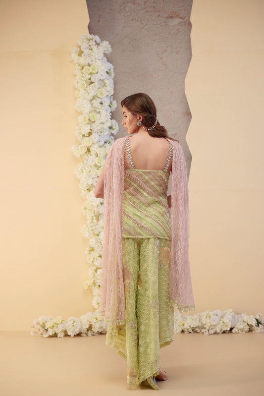 The Pistachio Set