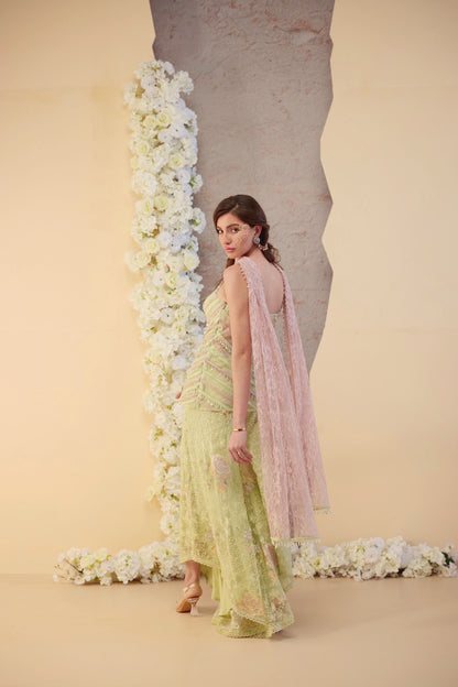 The Pistachio Set