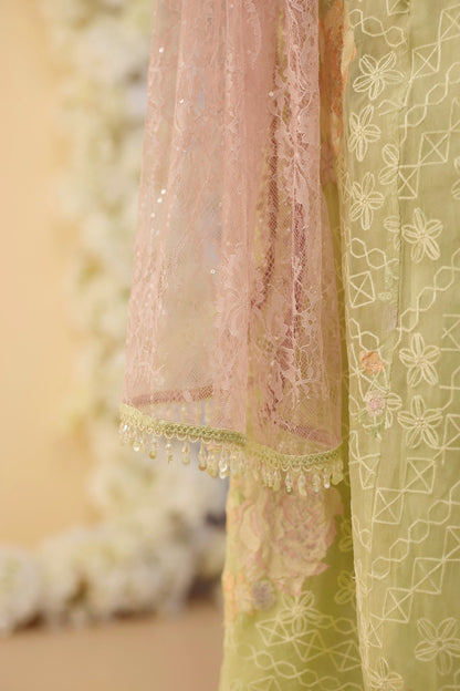 The Pistachio Set