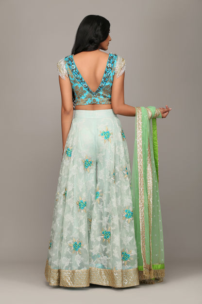 The Aranyani Sharara